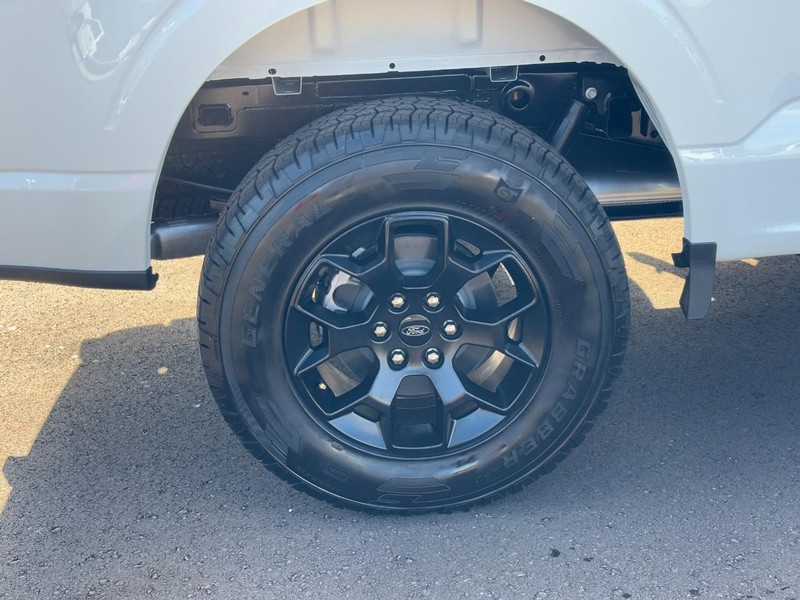 Ford F-150 Vehicle Full-screen Gallery Image 04