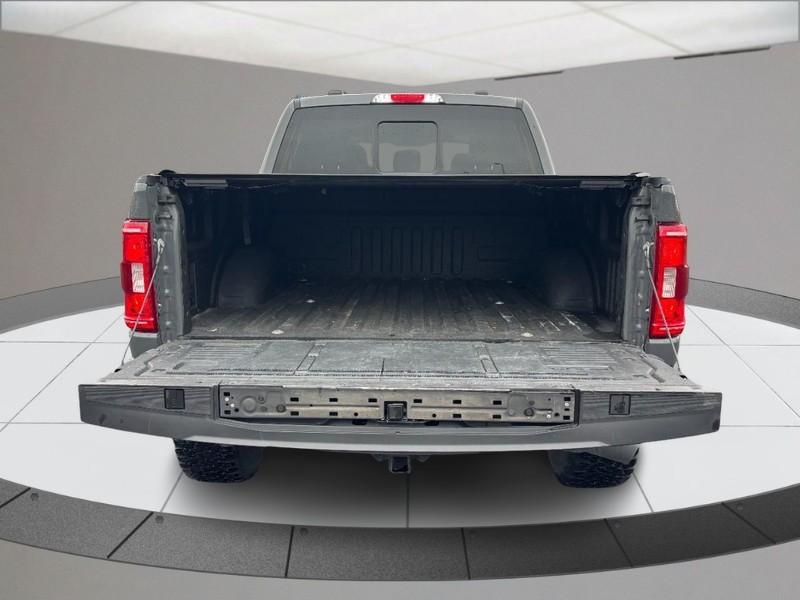 Ford F-150 Vehicle Full-screen Gallery Image 04