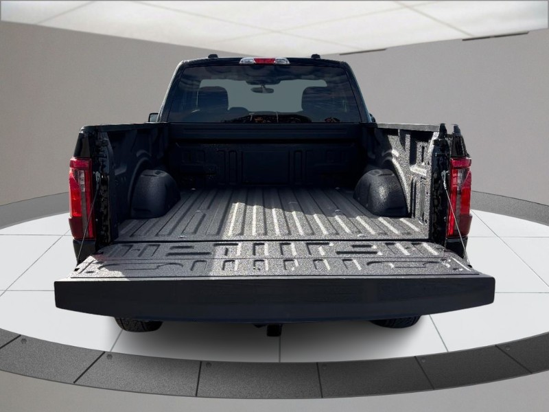 Ford F-150 Vehicle Full-screen Gallery Image 04