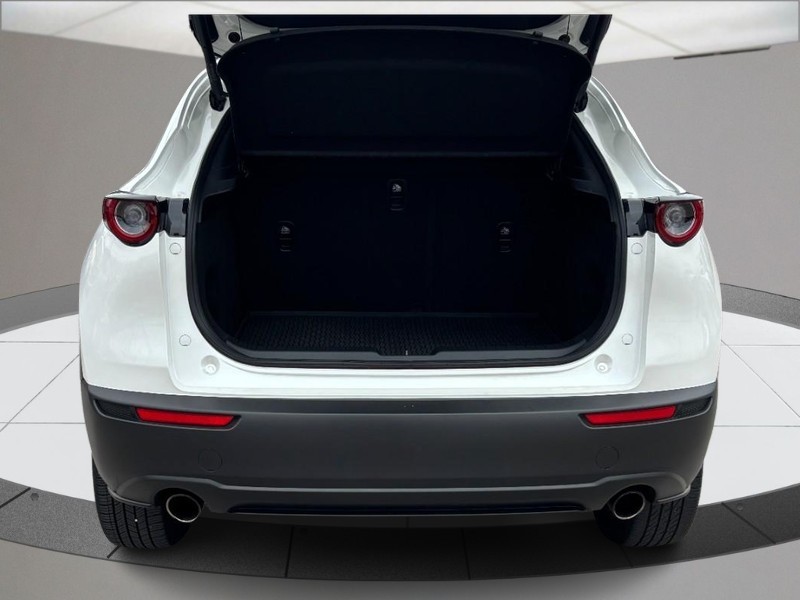 Mazda CX-30 Vehicle Full-screen Gallery Image 04