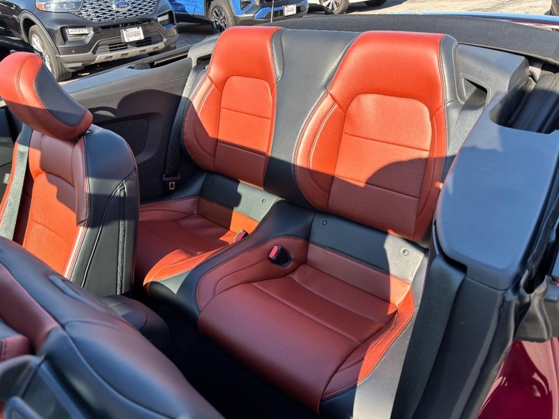 Ford Mustang Vehicle Full-screen Gallery Image 10