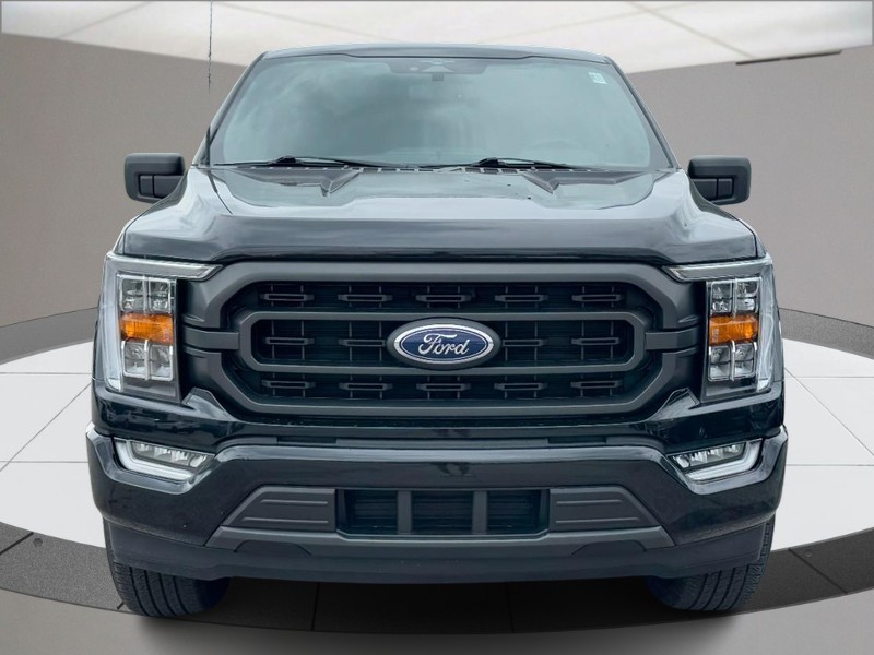 Ford F-150 Vehicle Full-screen Gallery Image 09