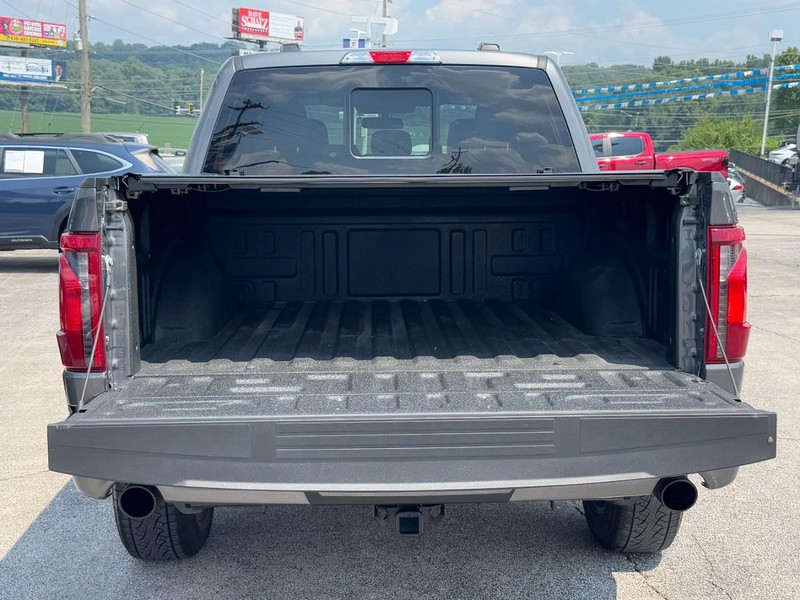 Ford F-150 Vehicle Full-screen Gallery Image 05