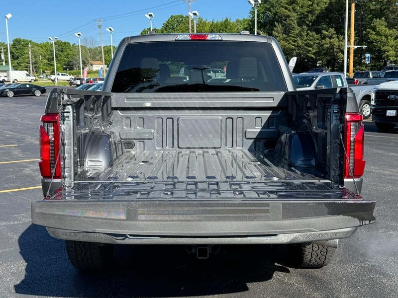 Ford F-150 Vehicle Full-screen Gallery Image 05