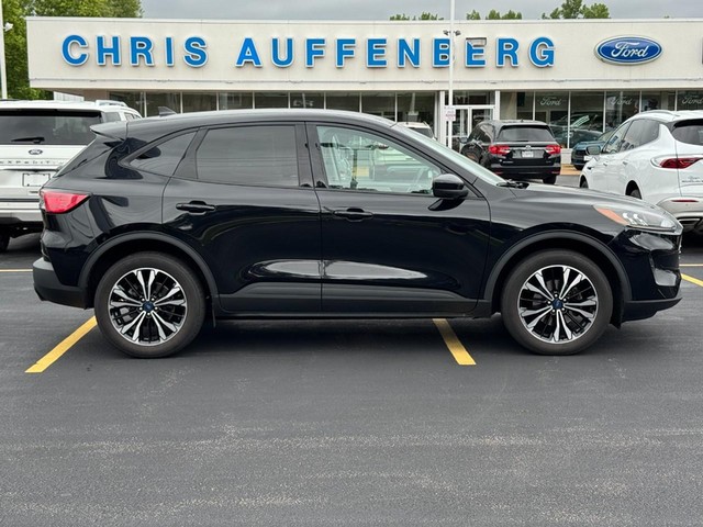 Washington MO 2022 Ford Escape more details - ford escape
