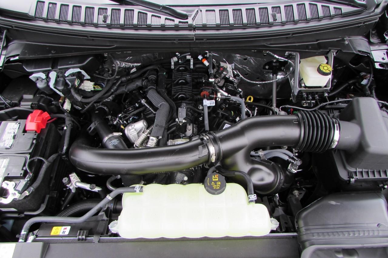 2024 Agate Black Metallic Ford Expedition XLT 4X4 SUV