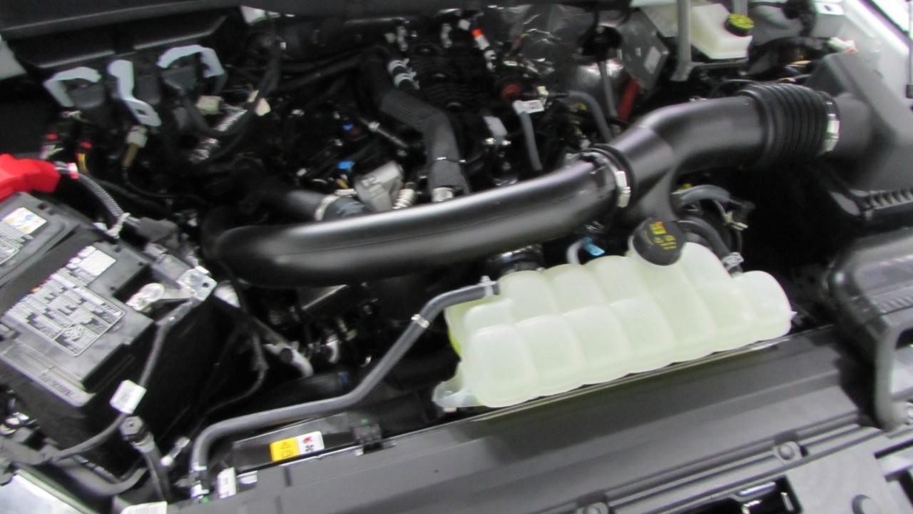 2025 Ox White Ford F-150 XLT 4X4 Truck