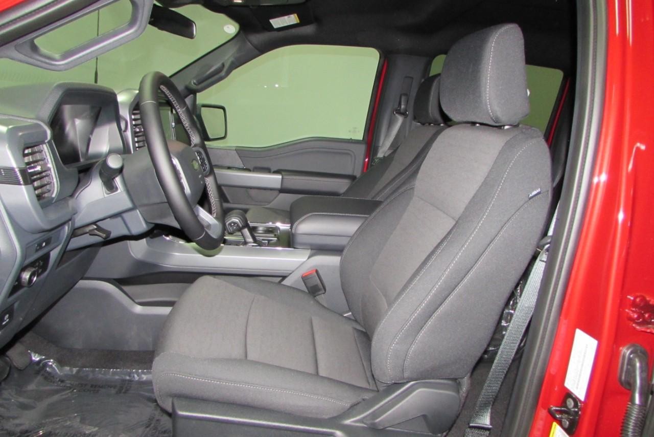 2025 Rapid Red Metallic Tinted Clearcoat Ford F-150 XLT 4X4 Truck