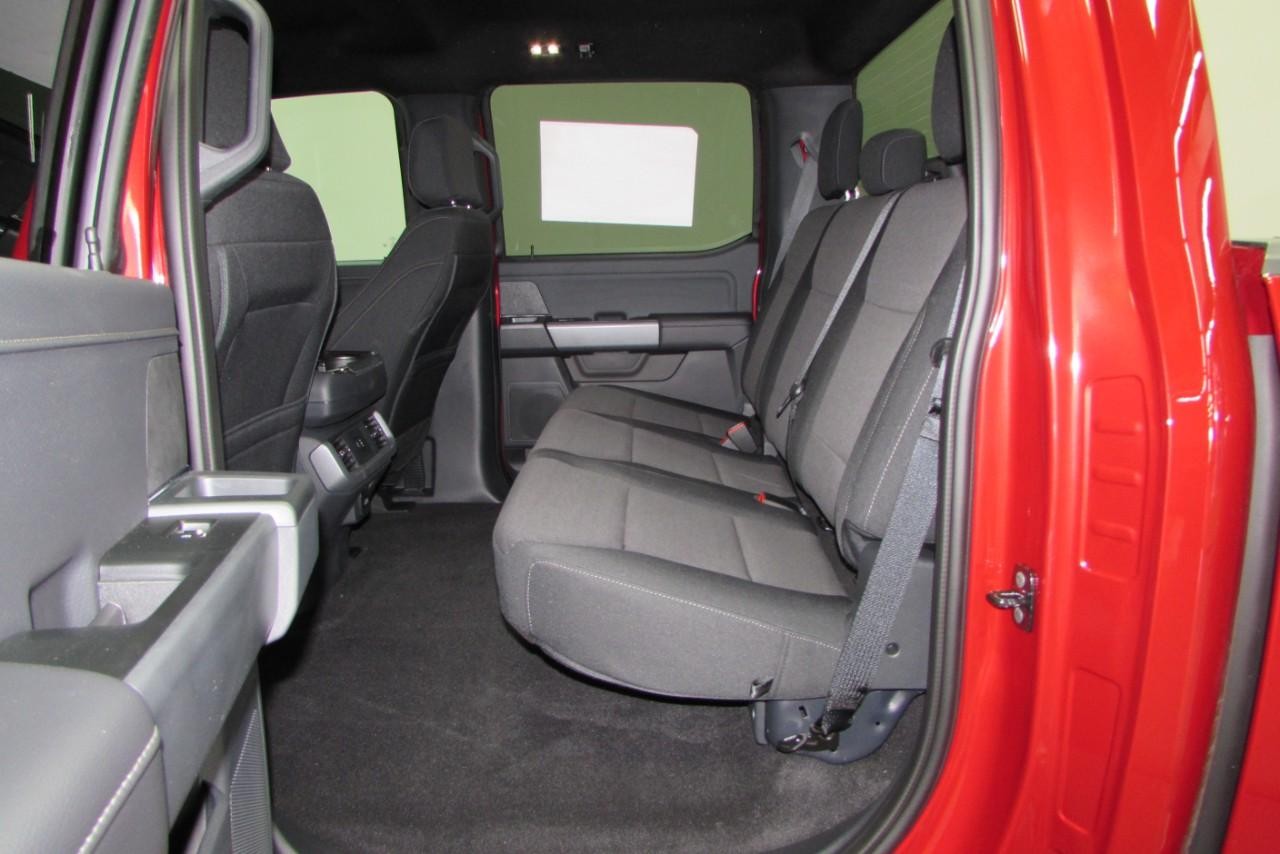 2025 Rapid Red Metallic Tinted Clearcoat Ford F-150 XLT 4X4 Truck