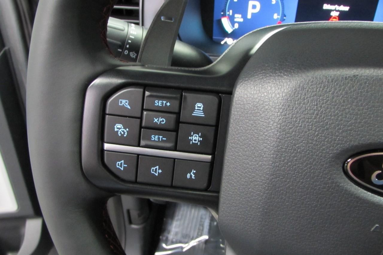 2025 Carbonized Gray Metallic Ford F-150 Raptor 4X4 Truck