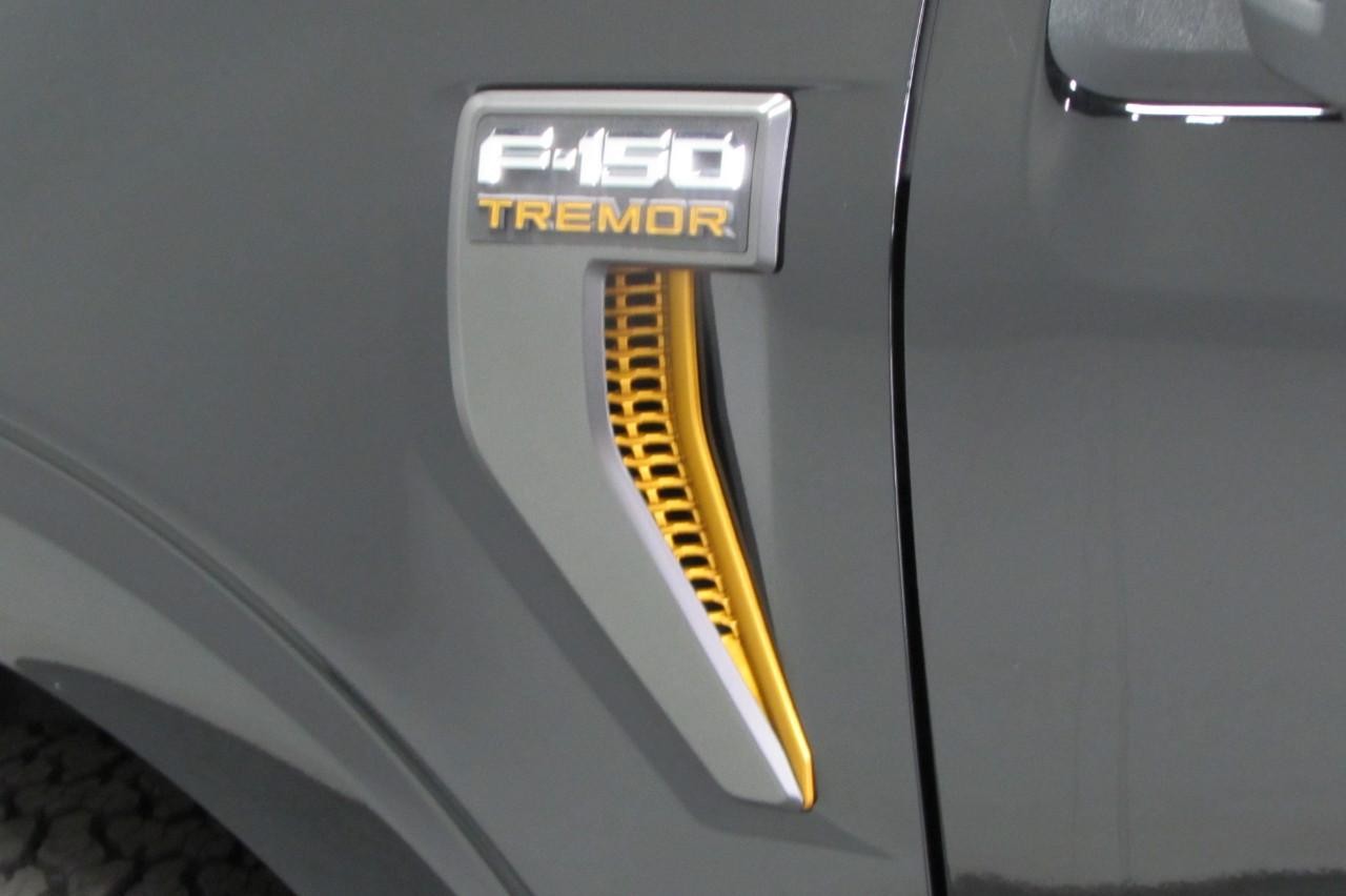 2025 Agate Black Ford F-150 Tremor 4X4 Truck