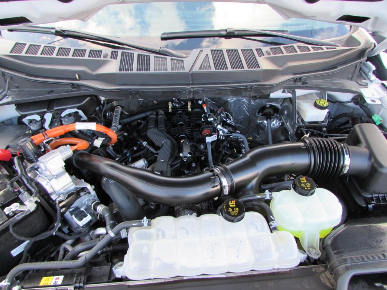 Ford F-150 Vehicle Full-screen Gallery Image 10