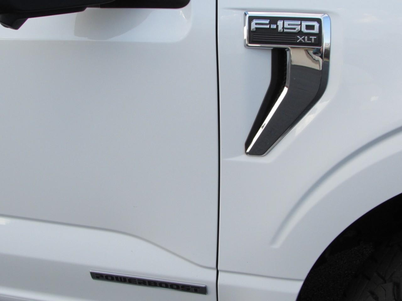 Ford F-150 Vehicle Full-screen Gallery Image 11