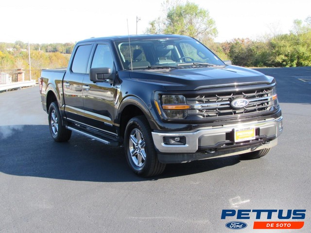 2024 Ford F-150 XLT at Pettus Ford De Soto in De Soto MO