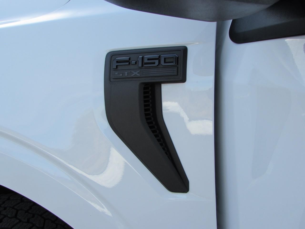 Ford F-150 Vehicle Full-screen Gallery Image 11