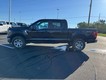 2023 Ford F-150 4WD XLT SuperCrew thumbnail image 06