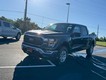 2023 Ford F-150 4WD XLT SuperCrew thumbnail image 07