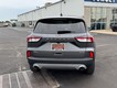 2022 Ford Escape SEL thumbnail image 04