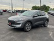 2022 Ford Escape SEL thumbnail image 07
