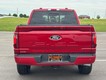 2025 Ford F-150 XLT thumbnail image 04