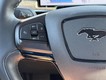 2022 Ford Mustang Mach-E Premium thumbnail image 19