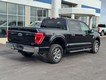 2023 Ford F-150 4WD XLT SuperCrew thumbnail image 03