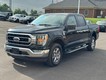 2023 Ford F-150 4WD XLT SuperCrew thumbnail image 08