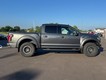 2019 Ford F-150 4WD Raptor SuperCrew thumbnail image 02