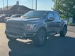2019 Ford F-150 4WD Raptor SuperCrew thumbnail image 07