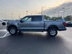 2024 Ford F-150 XLT thumbnail image 06