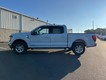 2024 Ford F-150 XLT thumbnail image 06