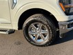 2024 Ford F-150 XLT thumbnail image 09