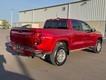 2023 Chevrolet Colorado 4WD LT thumbnail image 03