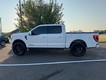 2021 Ford F-150 4WD XLT SuperCrew thumbnail image 06