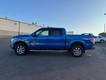 2013 Ford F-150 4WD XLT SuperCrew thumbnail image 06