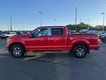 2019 Ford F-150 4WD XLT SuperCrew thumbnail image 06