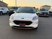 2020 Ford Escape SEL thumbnail image 08
