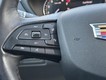 2019 Cadillac XT4 FWD Premium Luxury thumbnail image 20