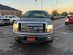 2011 Ford F-150 2WD XLT SuperCrew thumbnail image 08