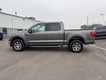 2023 Ford F-150 4WD XLT SuperCrew thumbnail image 06