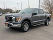 2023 Ford F-150 4WD XLT SuperCrew thumbnail image 07