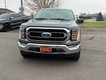 2023 Ford F-150 4WD XLT SuperCrew thumbnail image 08