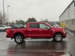 2021 Ford F-150 4WD Platinum SuperCrew thumbnail image 02