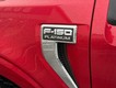 2021 Ford F-150 4WD Platinum SuperCrew thumbnail image 10