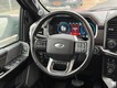 2021 Ford F-150 4WD Platinum SuperCrew thumbnail image 13