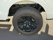 2025 Ford F-150 Platinum 4WD SuperCrew Box thumbnail image 05