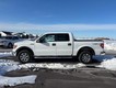 2014 Ford F-150 4WD XLT SuperCrew thumbnail image 06