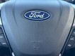 2024 Ford Edge SEL thumbnail image 19