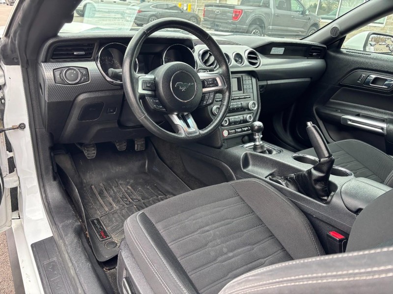 Ford Mustang Vehicle Full-screen Gallery Image 12