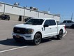 2023 Ford F-150 4WD XLT SuperCrew thumbnail image 07